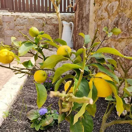 Salitre En El Cuera Lägenhet