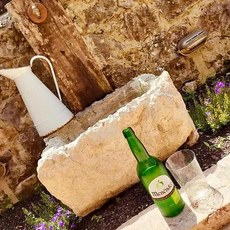 アパート Salitre En El Cuera リャネス