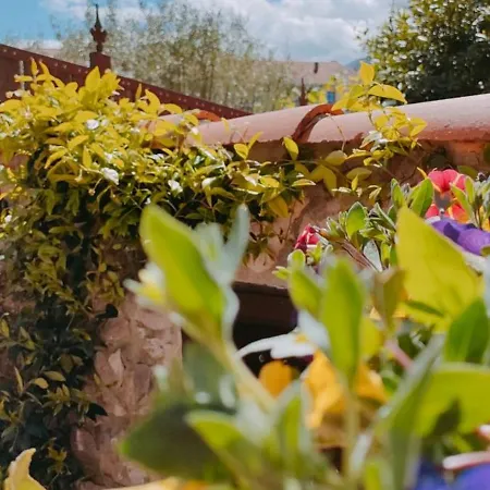 Salitre En El Cuera Apartment *