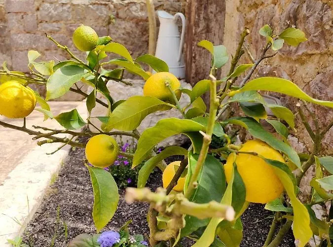 Salitre En El Cuera Apartamento