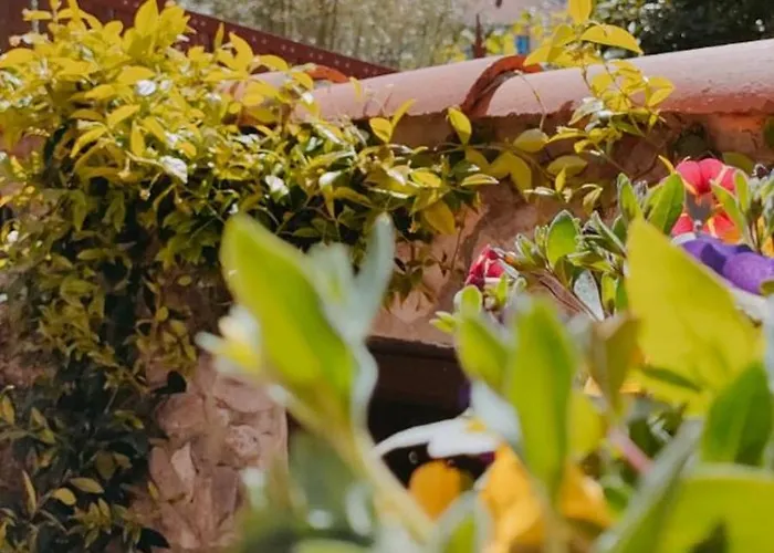 Salitre En El Cuera Apartment *